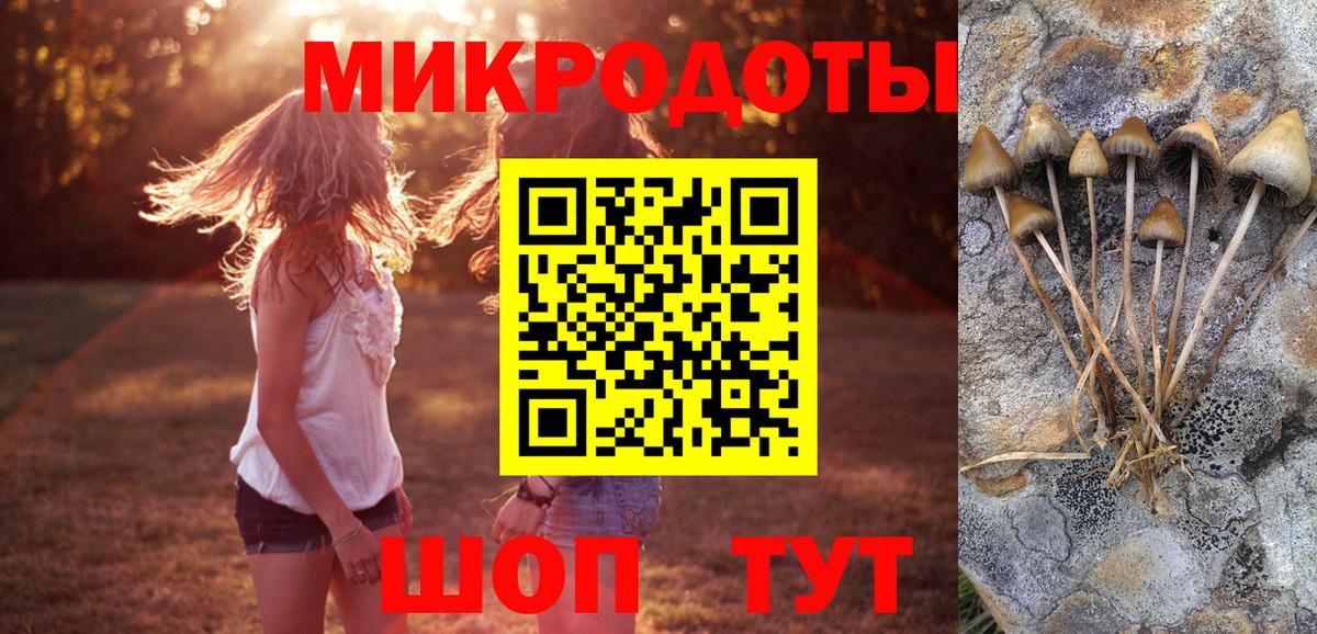Псилоцибиновые грибы мицелий  Вход с VPN  Самара 